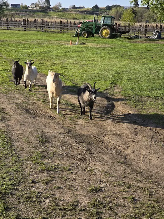 Echo River Farms Picture 1