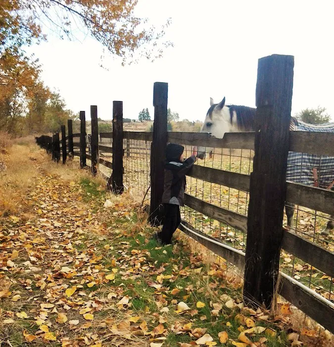 Echo River Farms Picture 3