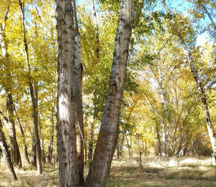 Echo River Farms Picture 2