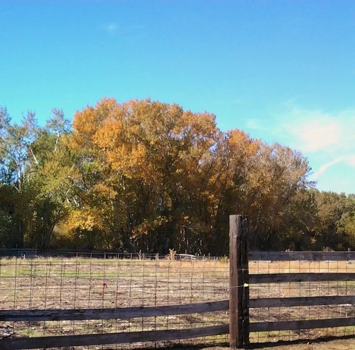 Echo River Farms Picture 6