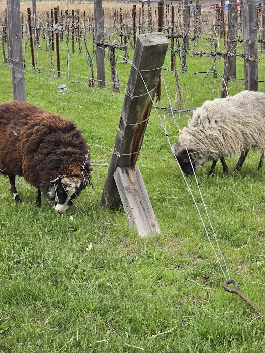 Echo River Farms Picture 5