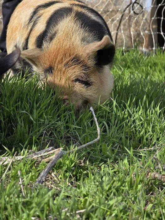 Echo River Farms Picture 8