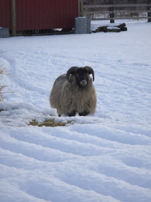 Echo River Farms Picture 9