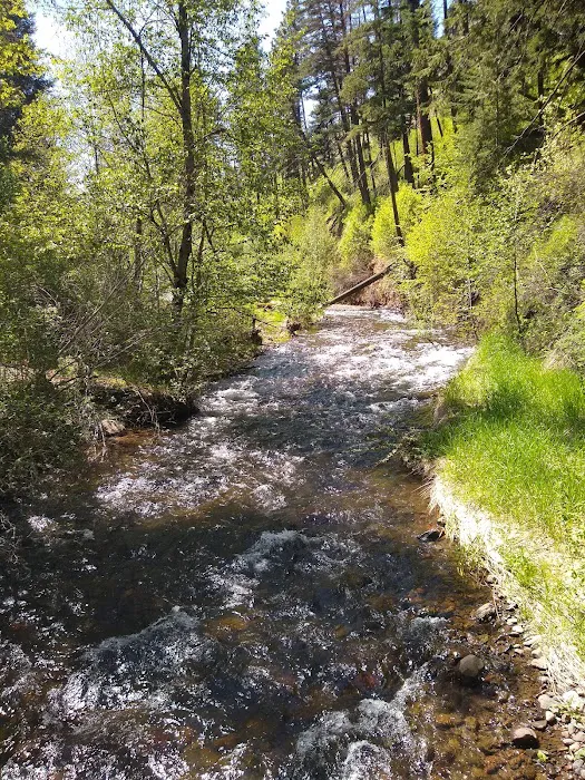 Teancum Timbers Recreation Camp Picture 6