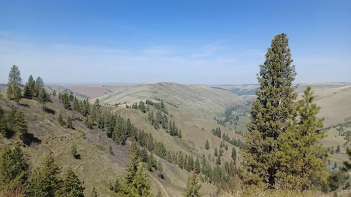 Teancum Timbers Recreation Camp Picture 5