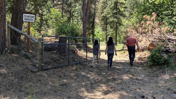 Teancum Timbers Recreation Camp Picture 7