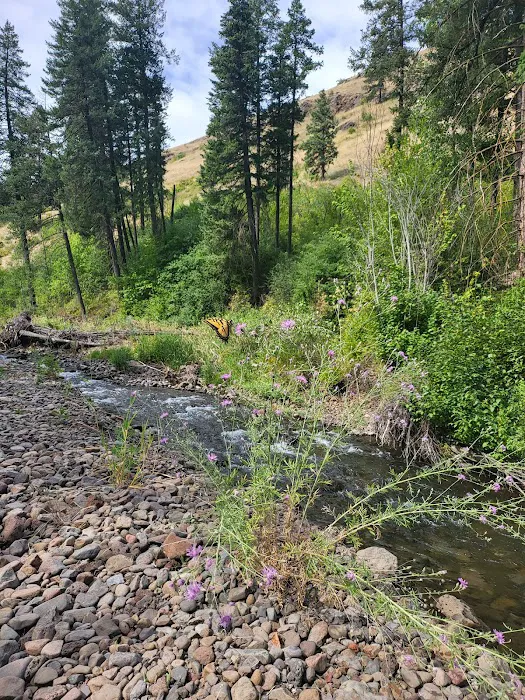 Teancum Timbers Recreation Camp Picture 8