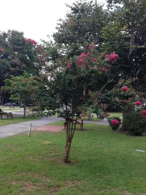 Inland Harbor RV Park Picture 1