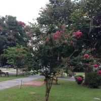 Inland Harbor RV Park ico