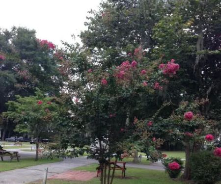 Inland Harbor RV Park