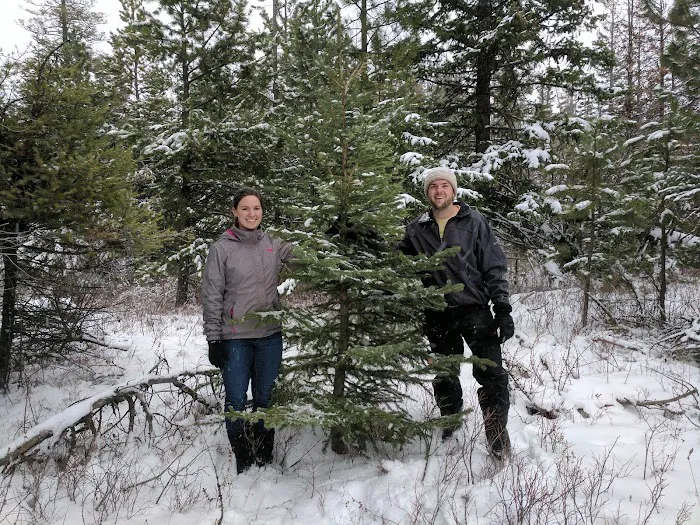 Stockade Spring Campground Picture 2