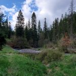 Stockade Spring Campground