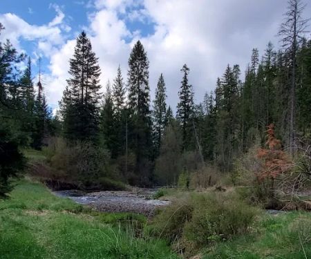 Stockade Spring Campground