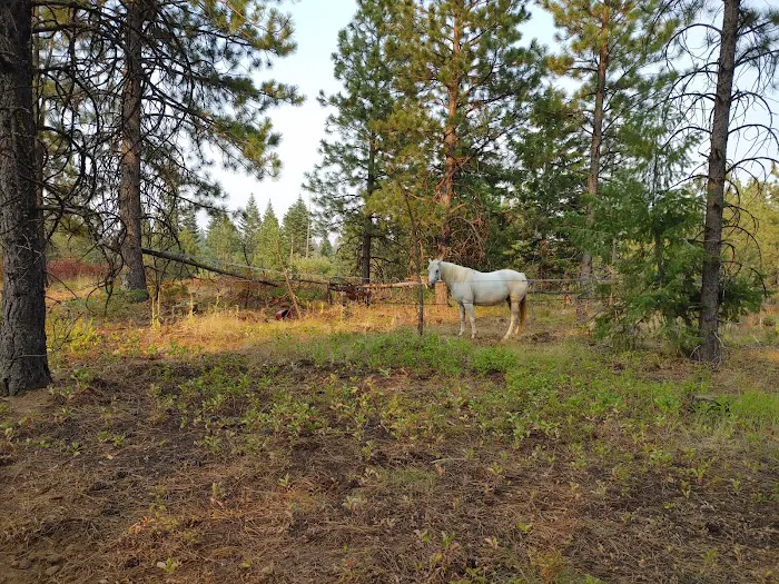 Stockade Spring Campground Picture 3