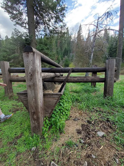 Stockade Spring Campground Picture 6