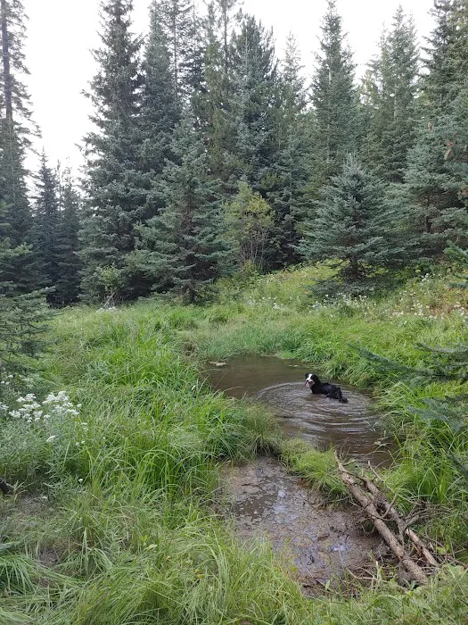 Stockade Spring Campground Picture 8