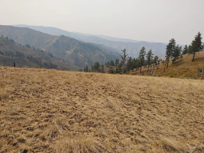 Stockade Spring Campground Picture 4