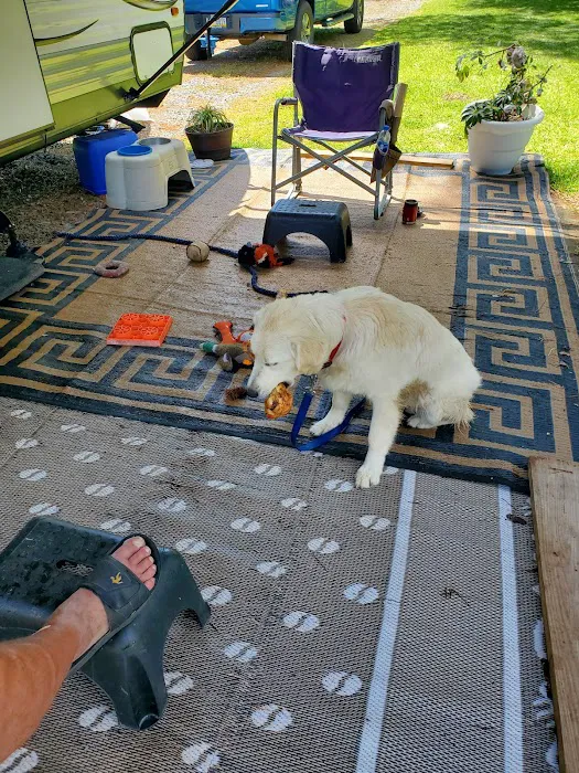 MCLB Albany RV Park Picture 3