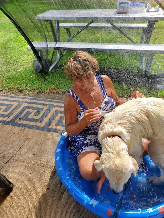 MCLB Albany RV Park Picture 4