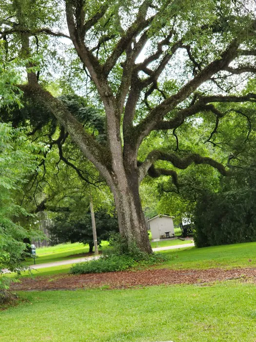 MCLB Albany RV Park Picture 8