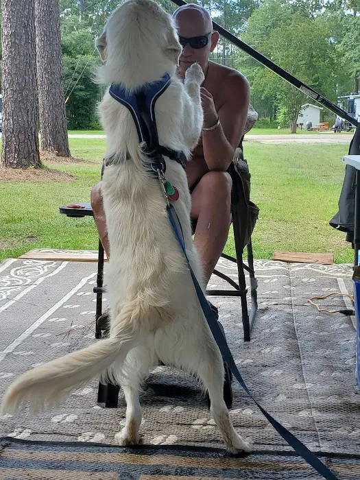 MCLB Albany RV Park Picture 7