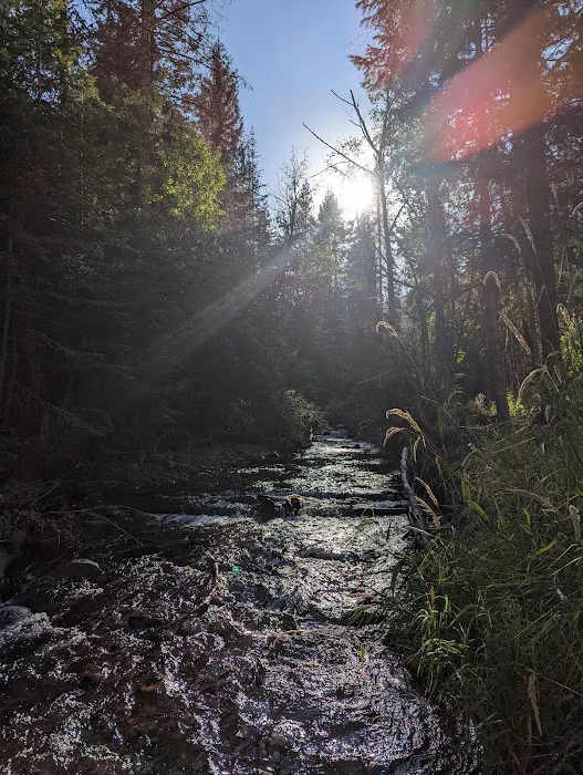 Panjab Campground Picture 3