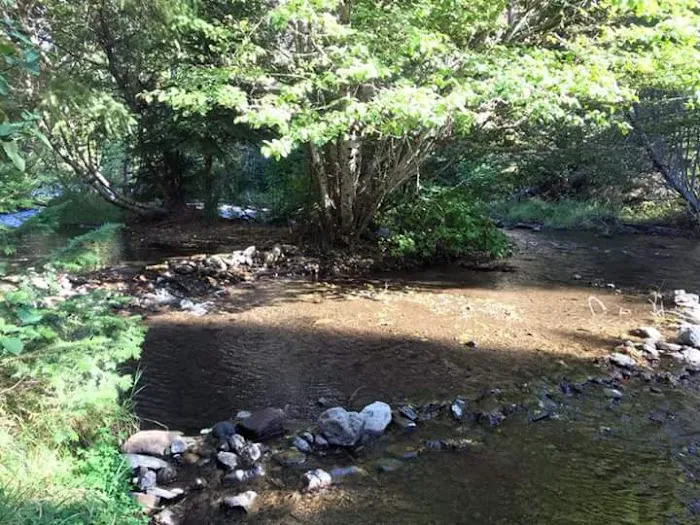 Panjab Campground Picture 5