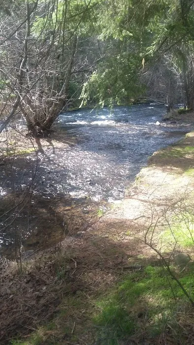 Panjab Campground Picture 7