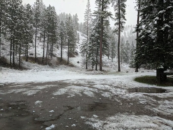 Panjab Campground Picture 6