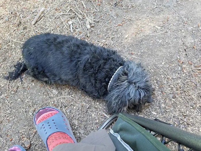 Panjab Campground Picture 10