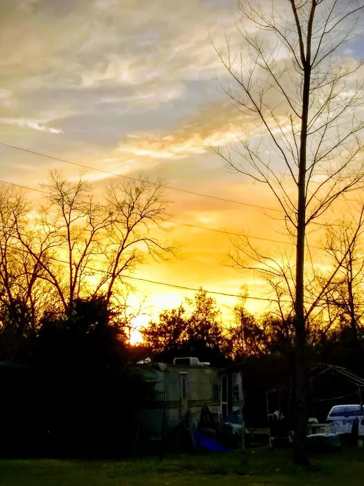 B & S Estates Picture 5