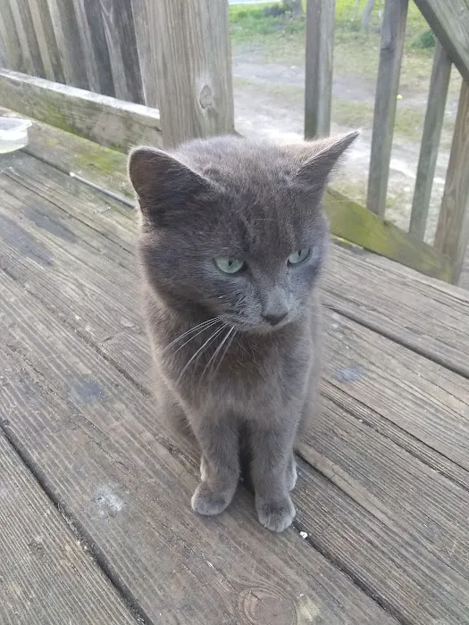 B & S Estates Picture 2