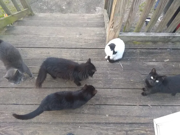 B & S Estates Picture 3