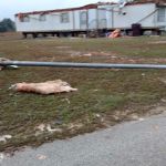 East Park Mobile Estates