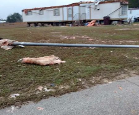 East Park Mobile Estates