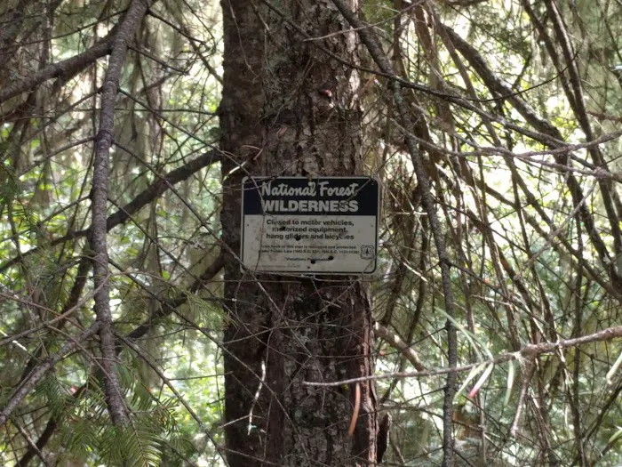 Ladybug Campground Picture 1