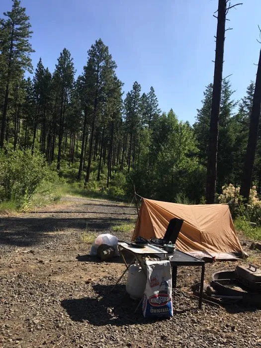 Tucannon Campground Picture 5