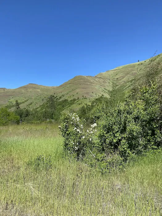 Tucannon Campground Picture 6