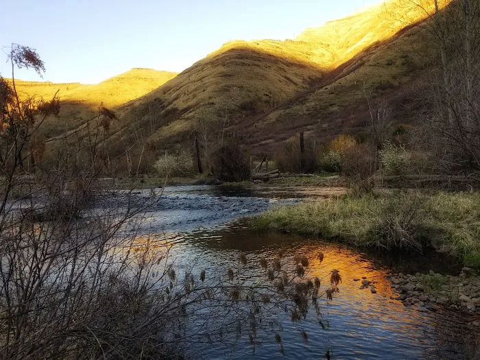 Tucannon Campground Picture 3