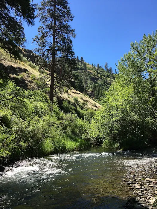 Tucannon Campground Picture 4