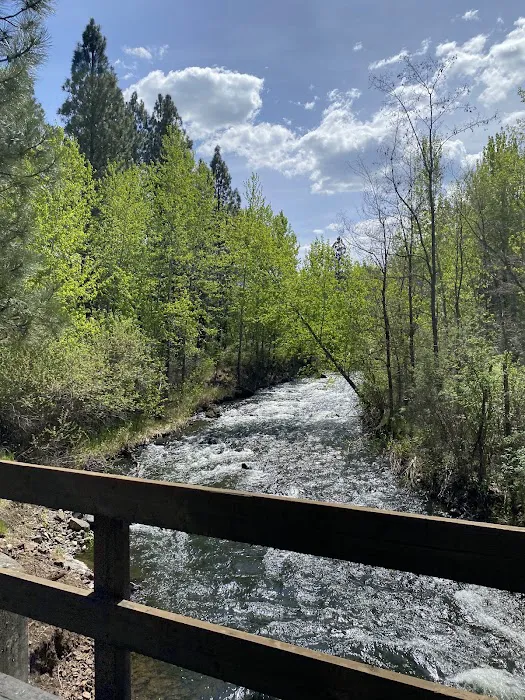 Tucannon Campground Picture 7