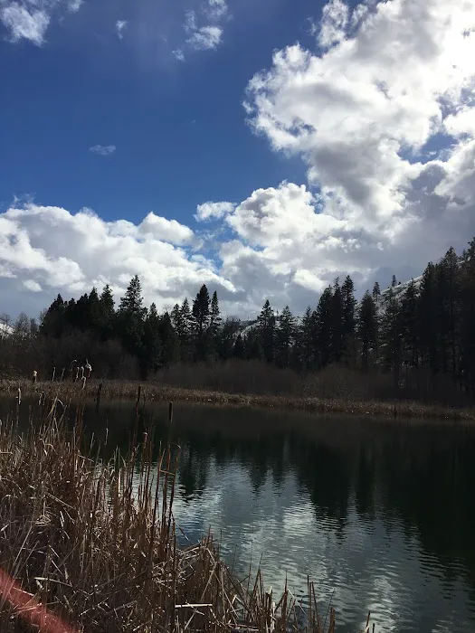 Tucannon Campground Picture 8