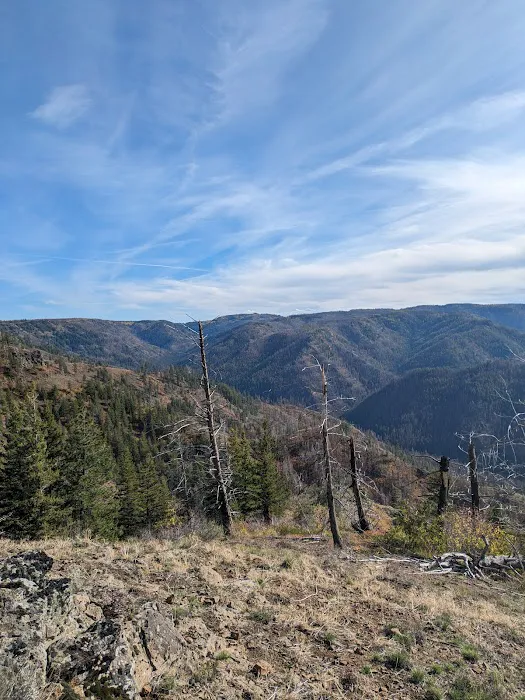 Teal Spring Campground Picture 3