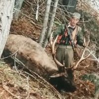 Teal Spring Campground ico