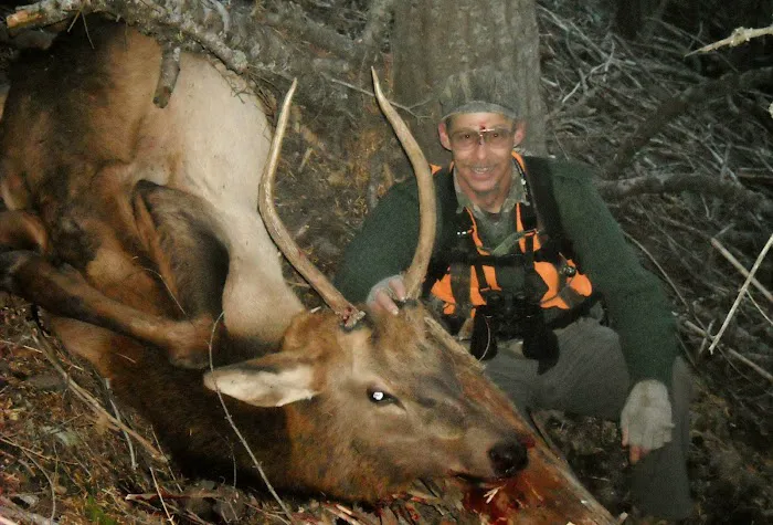 Teal Spring Campground Picture 2