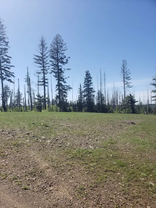 Teal Spring Campground Picture 5