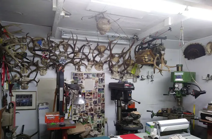 Teal Spring Campground Picture 8