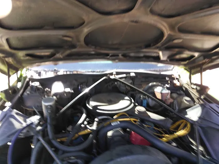 Mimosa MHP LLC Picture 2