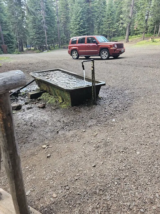 Clearwater Big House Cabin Picture 2