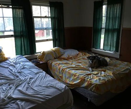 Clearwater Big House Cabin